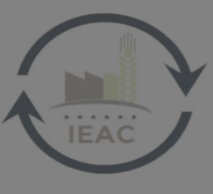logo reigo