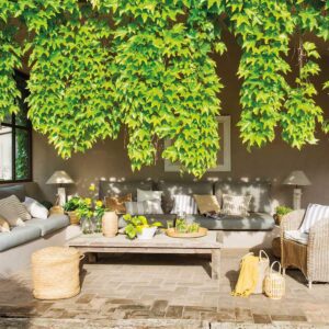 paisajismo-servicio-jardineria-cancun-playa-carmen